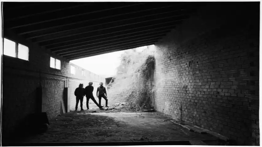 Imatge del concursant - Tesis