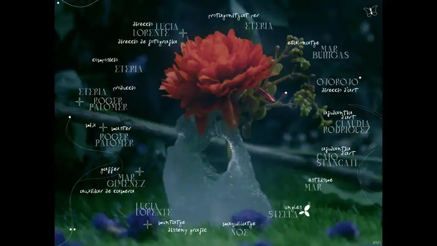 Imatge del concursant - ETÈRIA