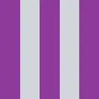 Imatge - Guillem Bonilla