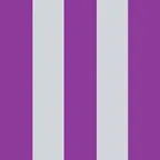 Member image - Guillem Bonilla